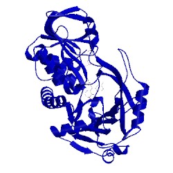 Image of CATH 2oln