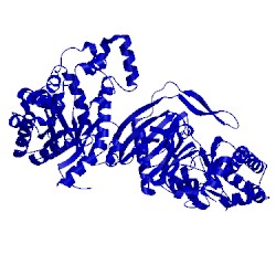 Image of CATH 2ols