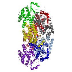Image of CATH 2on5