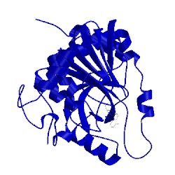 Image of CATH 2on6