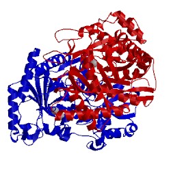 Image of CATH 2one