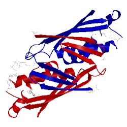 Image of CATH 2onf