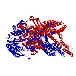 Image of CATH 2onj