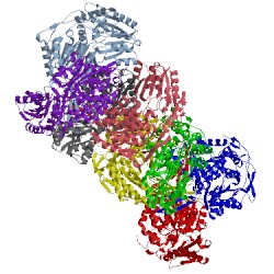 Image of CATH 2ono