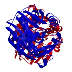 Image of CATH 2ony