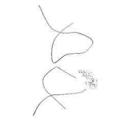 Image of CATH 2oom