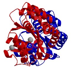 Image of CATH 2ori