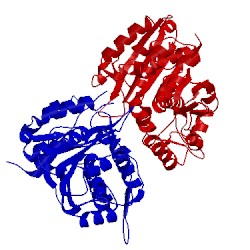Image of CATH 2ory