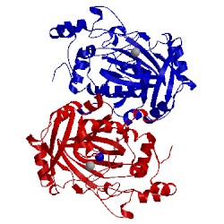 Image of CATH 2os2