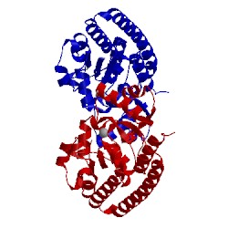 Image of CATH 2osv