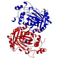 Image of CATH 2ot7