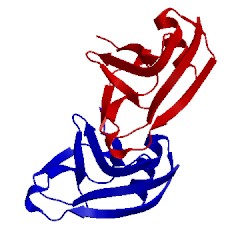 Image of CATH 2ott