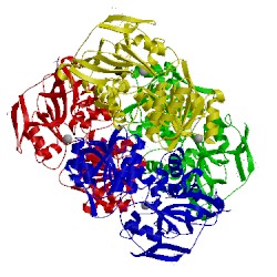 Image of CATH 2oui