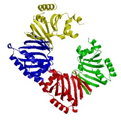 Image of CATH 2ovi