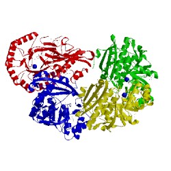 Image of CATH 2ovl