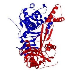 Image of CATH 2owy