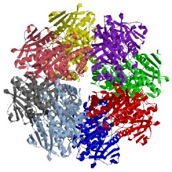 Image of CATH 2ox4
