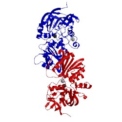 Image of CATH 2oxi