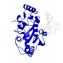 Image of CATH 2oxm