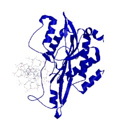 Image of CATH 2oxv