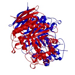 Image of CATH 2oyk