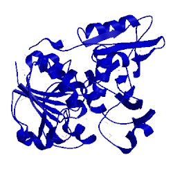 Image of CATH 2ozp