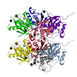 Image of CATH 2ozr