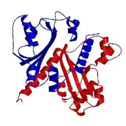 Image of CATH 2p1j