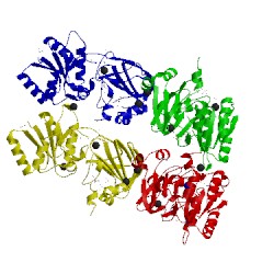 Image of CATH 2p1r