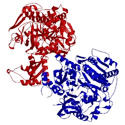 Image of CATH 2p20