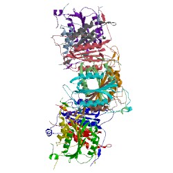 Image of CATH 2p2c