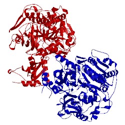 Image of CATH 2p2f