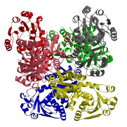 Image of CATH 2p2g