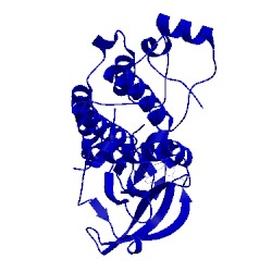 Image of CATH 2p2h