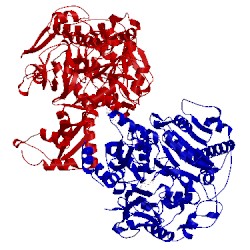 Image of CATH 2p2j