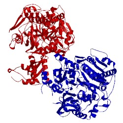 Image of CATH 2p2m