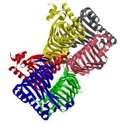 Image of CATH 2p2o