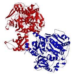 Image of CATH 2p2q