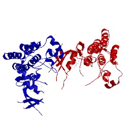Image of CATH 2p4i