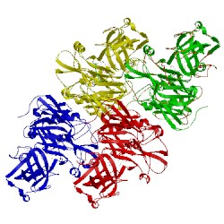 Image of CATH 2p4j