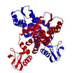 Image of CATH 2p4x
