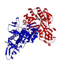 Image of CATH 2p53