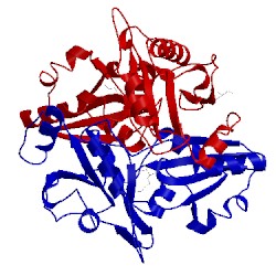 Image of CATH 2p5c