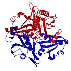 Image of CATH 2p5f