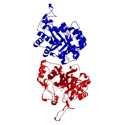 Image of CATH 2p5n