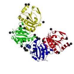 Image of CATH 2p5q