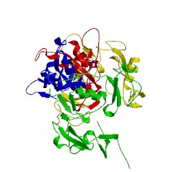 Image of CATH 2p6a