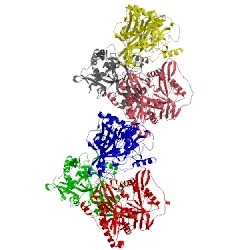 Image of CATH 2p6f