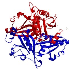 Image of CATH 2p6k