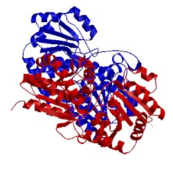 Image of CATH 2p6p